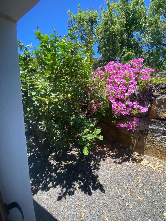 Vivienda Vacacional Casa Pancho Taibique Екстер'єр фото